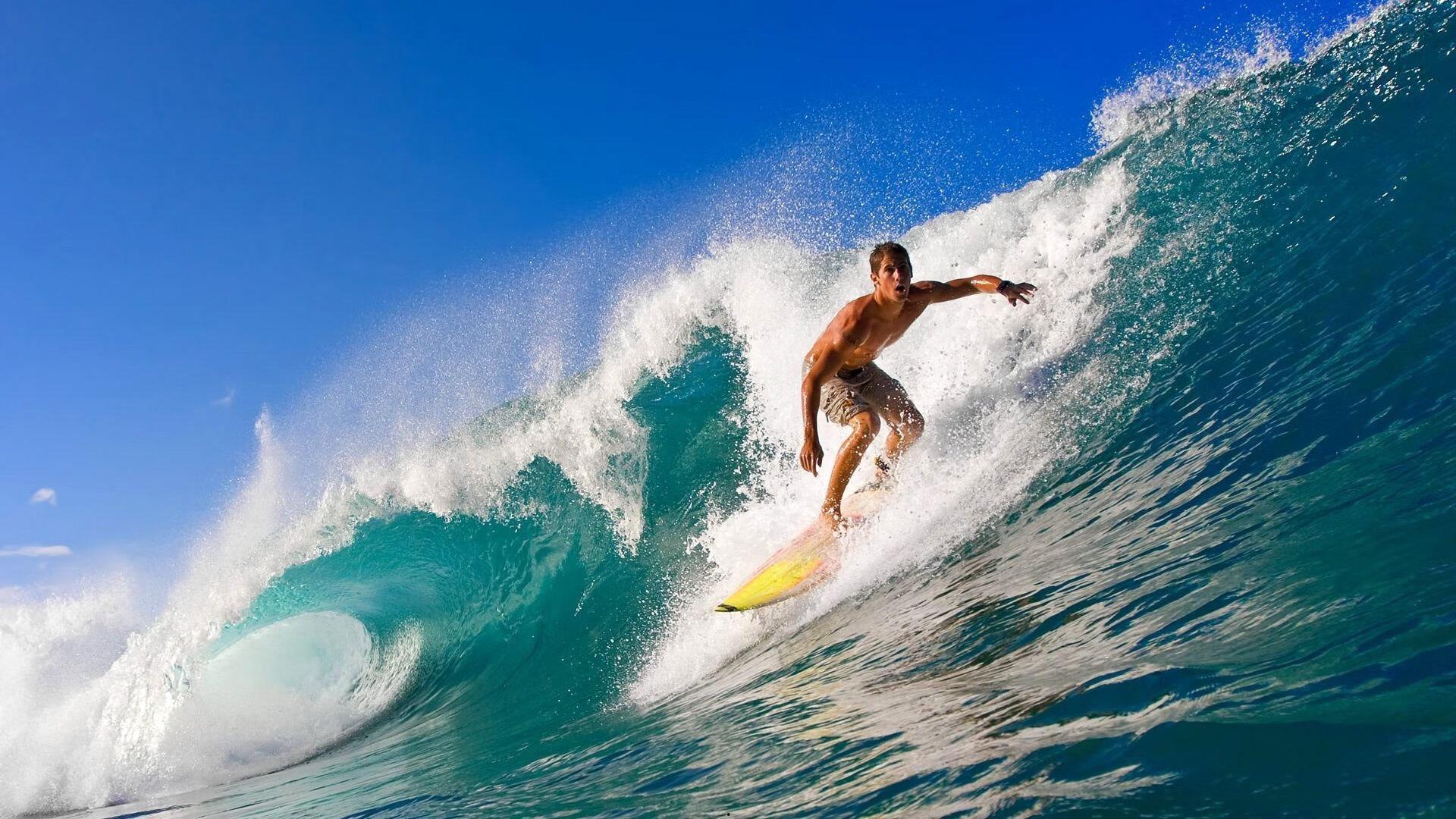 保利尼奥,中超历史最强外援的传奇与争议